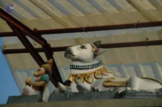 A white painted Nandi bull statue lies on a concrete ledge beneath a corrugated translucent roof supported by red-painted metal beams. The bull wears a blue-green bead necklace and an ornate gold collar with turquoise-coloured inlays, and its head is adorned with a small gold ornament. To the left, a painted female figure in a green garment and a gold headdress sits with her hands pressed together in anjali. The sky is visible through the left side. No physical people are present.