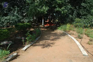 September 29 2010