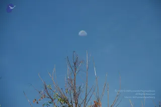 September 29 2010