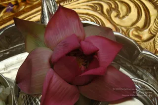 September 29 2010