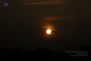 September 30 2010