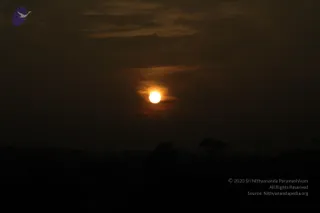 September 30 2010