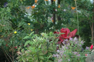 September 30 2010