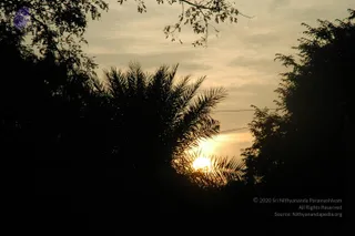 September 30 2010