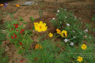 September 30 2010
