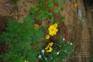 September 30 2010