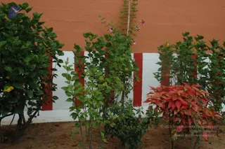 September 30 2010