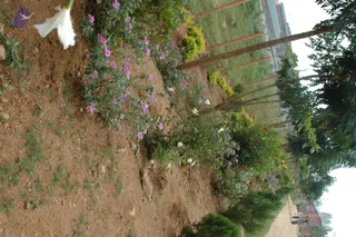 September 30 2010