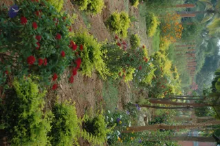 September 30 2010
