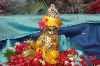 A golden murti of the child deity Krishna sits on a bed of red and white flower petals on a turquoise and blue satin cloth. The figure wears a yellow dhoti and yellow turban, a jeweled crown with multicolored stones, a peacock feather rising from the crown, and a red flower tucked near the head. Ornate jeweled necklaces and armlets adorn the figure, and a brass bowl rests beside it. The figure's hand is raised near its face. The background is a blurred pink and red floral backdrop. No people are visible in the scene.