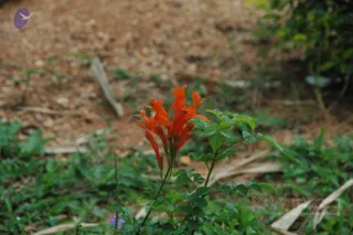 September 02 2010