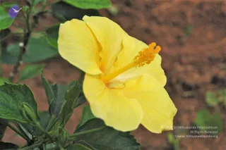 September 02 2010
