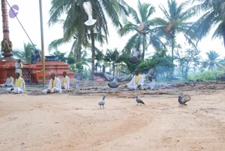 An outdoor ritual scene on a bare sandy ground beneath coconut palms. Several men in white dhotis and white shirts with yellow shawls sit cross-legged on the sand, with smoke rising from a fire area behind them. A tall orange-and-gold kalasha pillar with a garland stands at left beside an orange stone structure, and a man in white stands near it. Several pigeons are on the ground and others are flying overhead. a person is not visibly identifiable in this image.