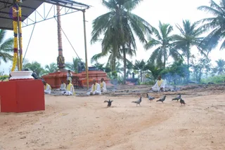 An outdoor temple courtyard of sandy ground with palm trees behind it. Several men in white dhotis and white shirts with yellow shawls sit cross-legged on the sand in front of a low orange-red temple structure topped with a tall orange pillar. A red plinth to the left holds a white bowl wrapped in marigold garlands. Pigeons walk across the foreground, and a thin smoke rises from the ground near the seated group. A corrugated roof frame stands at the top left. No figure is clearly identifiable as a person, so the seated men are described by role only.