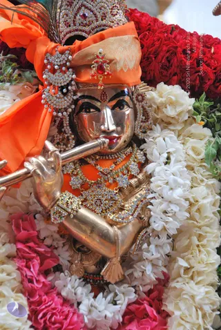 Close-up photograph of a silver Krishna murti playing a long flute, decked with jewelled crown and peacock feather, orange silk head cloth, ruby and stone necklaces, bangles and earrings. The idol is surrounded by garlands of white jasmine, pink and red roses and green leaves.