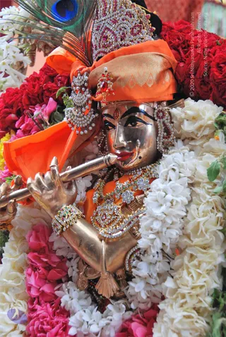 Close photograph of a golden Krishna deity murti adorned for worship, playing a flute held to its lips. It wears an orange silk headwrap topped with a jeweled crown and a peacock feather, with jeweled earrings, necklaces and bangles. The murti is surrounded by garlands of red roses, white jasmine and pink flowers, with a dark kohl-lined face and a red tilak mark. No living people are visible.