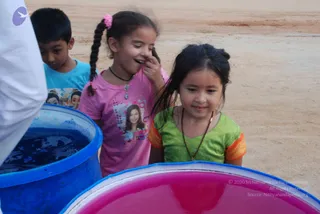 September 02 2010