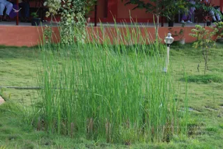 September 02 2010
