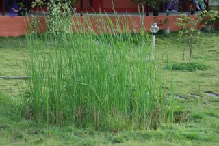 September 02 2010