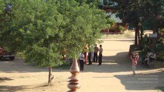A photograph of an open dirt path shaded by a large leafy tree, with a copper finial in the foreground. Several people stand on the path: two uniformed men in dark trousers and light shirts talk near a figure in orange robes and another in white. A man in a pink shirt carries a wooden box on his head across the path. On the right, a few people sit on a low stone wall beside a sign, and a red-roofed building with a green tin roof stands behind the trees.