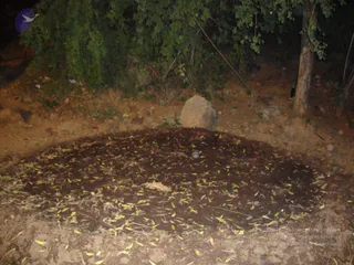 September 26 2010