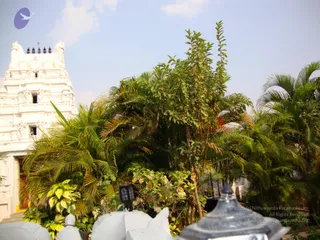 September 26 2010