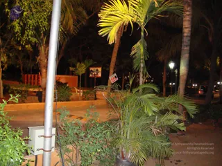 September 26 2010