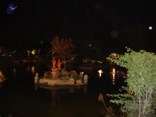 September 26 2010