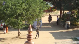 A dusty ashram road shaded by a large green tree, with a copper kalasha-shaped finial in the foreground. A group of people in white and cream clothing walks along the path, while a man in orange robes and dark trousers stands at the left beside a white car. A rider on a motorcycle in dark clothing approaches up the road, and a man in a white shirt stands near a stone wall beside a small group of people at the right. A young boy in a dark top carries a bundle on his head near the centre. A red-roofed building and flowering shrubs are visible in the background.