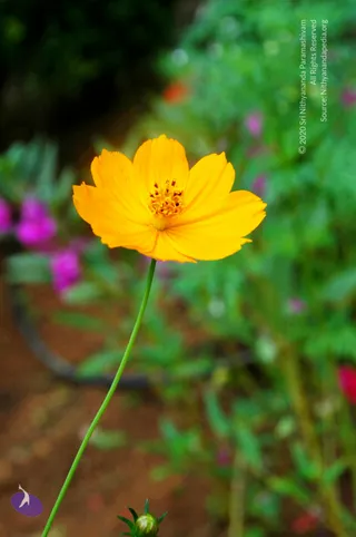 September 28 2010