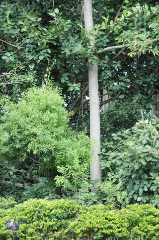 September 28 2010