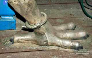 2010-Silver-Procession-Items-Sacred-Arts-University