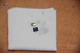 IMG_2709_CMP_WM