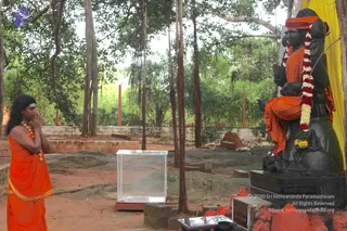 August 19 2011