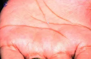 2011-08aug-19-nithyananda-photo-02d-swamiji-moon-rock-materialization_CMP_WM
