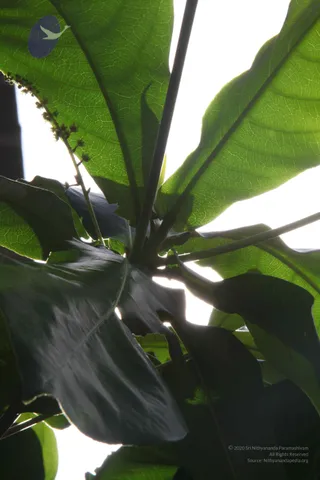 20110828_Photo_1065_IMG_0948_CMP_WM