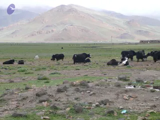 2011-Glimpses-Of-Kailash-Yatra
