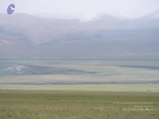 2011-Glimpses-Of-Kailash-Yatra
