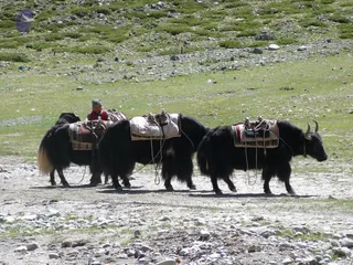 2011-Glimpses-Of-Kailash-Yatra