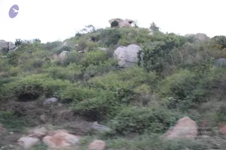 A photograph of a rocky hillside covered in dense green shrubs and scrubby bushes, with large grey and pinkish boulders scattered across the slope. A pale overcast sky fills the top of the frame. The image is slightly blurred, as if taken from a moving vehicle. No people, deities, or ritual activity are visible.