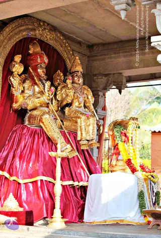A photograph of a temple shrine with two gilded deity murtis seated on a raised platform draped in magenta satin with a gold border. The figure on the left wears a red turban and holds a trident-like staff and a ceremonial object; the figure on the right wears a tall gold crown and rests a hand on a garland-adorned pedestal. Beside them stands a white-draped seat or pedestal with a hooded serpent canopy, decorated with yellow and red flower garlands and yellow bead strands. A brass oil lamp stands in the foreground, and a small gilded kalasha-like object sits at lower left. Open pillared pavilion with a palm-filled background.