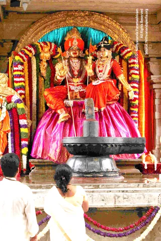 9-Temple-Swayambu-Linga-Abhishekam-Guru-Homa-Gurumudi-Dakshinamurti_Photo_1000_IMG_3683_CMP_WM