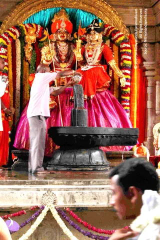 9-Temple-Swayambu-Linga-Abhishekam-Guru-Homa-Gurumudi-Dakshinamurti_Photo_1001_IMG_3684_CMP_WM