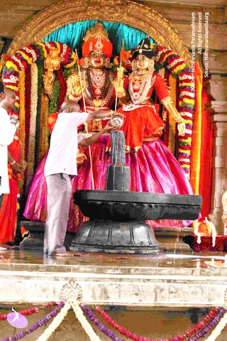 9-Temple-Swayambu-Linga-Abhishekam-Guru-Homa-Gurumudi-Dakshinamurti_Photo_1002_IMG_3685_CMP_WM