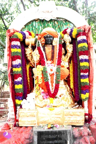 9-Temple-Swayambu-Linga-Abhishekam-Guru-Homa-Gurumudi-Dakshinamurti_Photo_1018_IMG_3821_CMP_WM