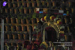 Theppotsavam_Photo_1050_IMG_4225_CMP_WM