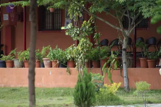 2011-July-31