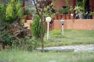2011-July-31