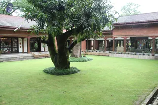 IMG_6379_CMP_WM