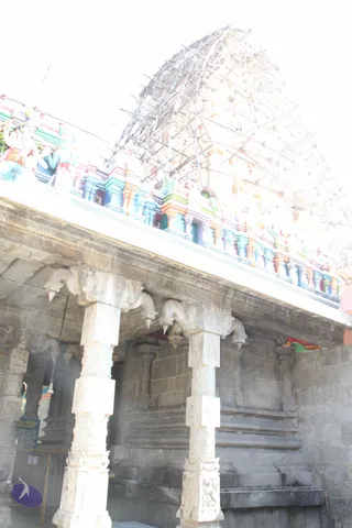 2-Swamiji_s Temple Visit_Photo_1021_IMG_9452_CMP_WM